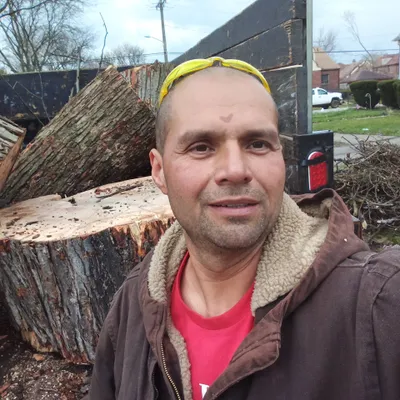 marlons lawn care and tree removal