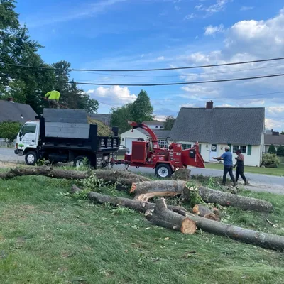 J&F Tree Services & Landscaping Inc