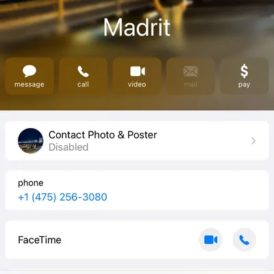 Madrit’s Painting