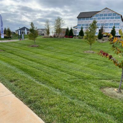 Jaime  landscaping LLC
