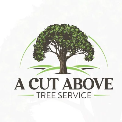 A Cut Above Tree Service