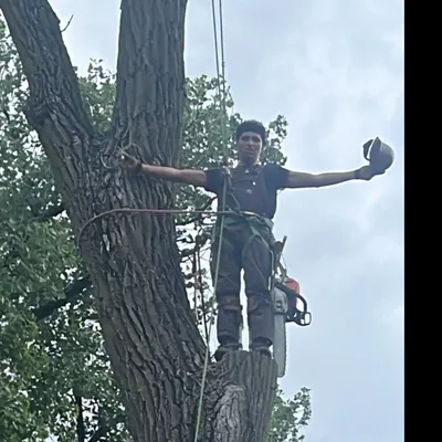 Triple A Tree Service