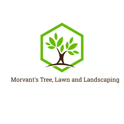 Morvant's Tree, Lawn and Landscaping