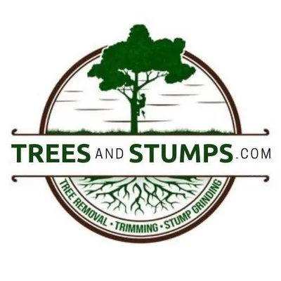 Trees And Stumps