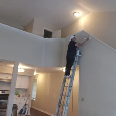 pro Interior painting/ renovation