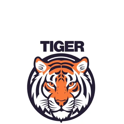 Tiger Painting and Drywall