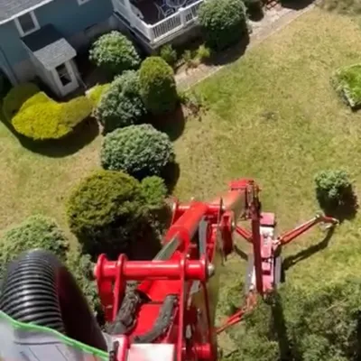 Rolando Rivera tree service
