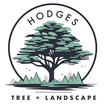 Hodges Tree and Landscape