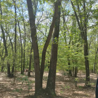 Pure Michigan Outdoor Living