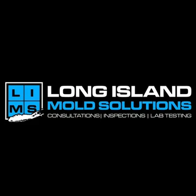 Long Island Mold Solutions
