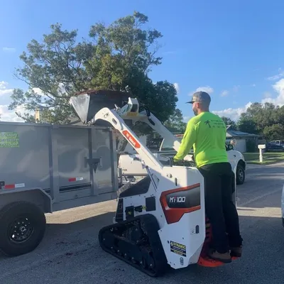 Roots and Canopy Tree Service