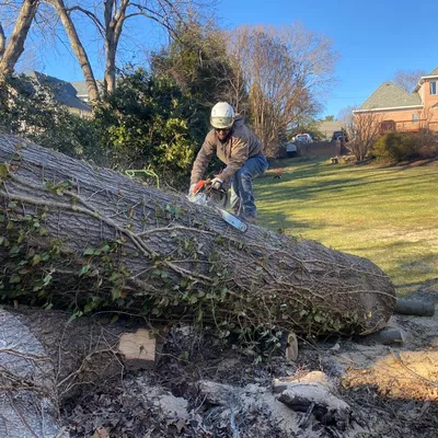 Franky's Tree Care LLC