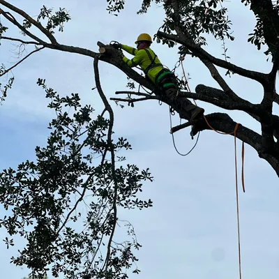 Reyes Tree Service
