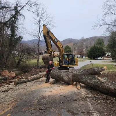 ricos tree and  landscaping services llc