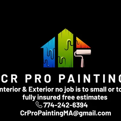CRproPainting