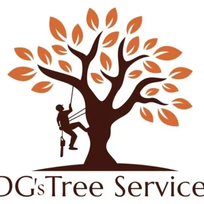 DG's Tree Service