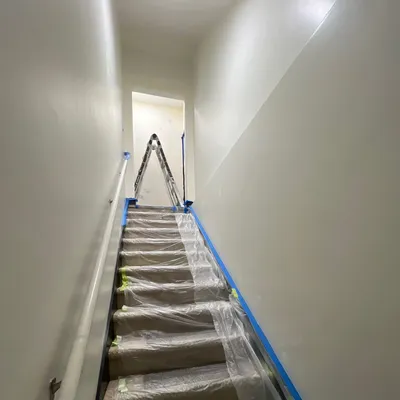 CarimPainting