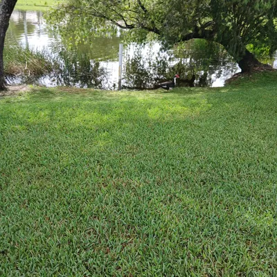 Atanasio's mowing trimming & more