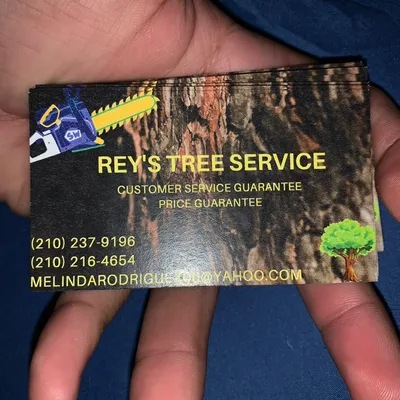 Rey’s tree service