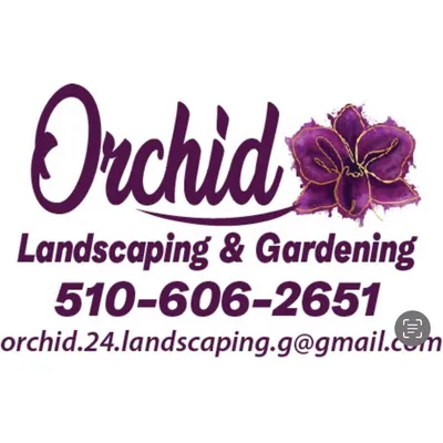 Orchid Landscaping & Gardening