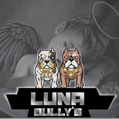 Lunas Drywall