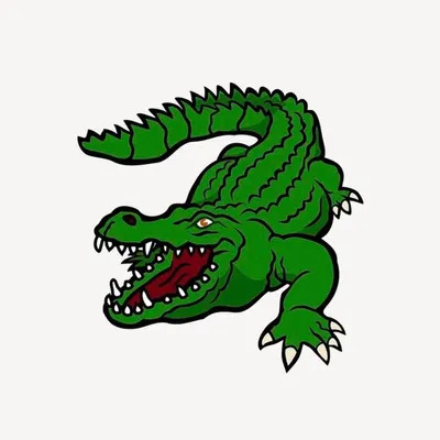 GatorBack Solutions