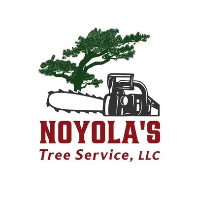 Noyola's Tree Service