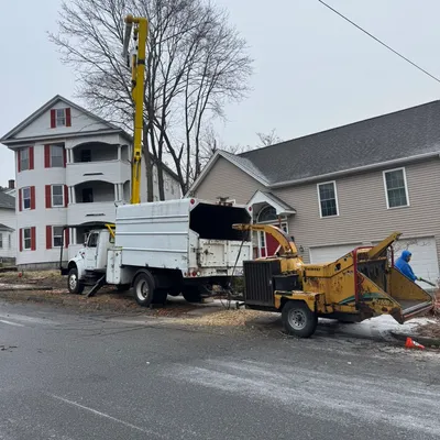 ARLA Tree Services