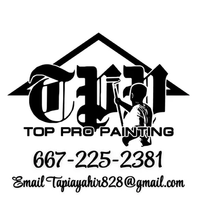 Top Pro Painting