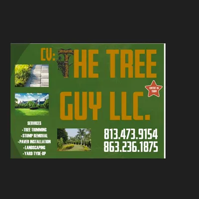 Cv The Tree Guy LLC
