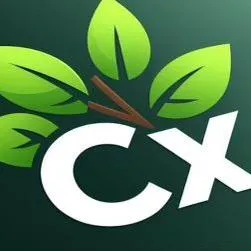 CX Property and Home