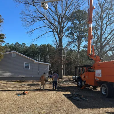 Bill’s Tree Service LLC