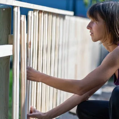 The Fence