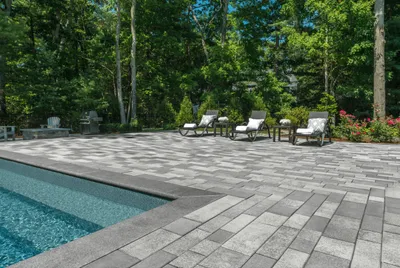 PANTHERA PAVERS EXPERTS