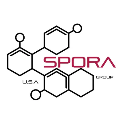 Spora Mold Remediation