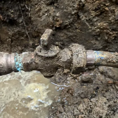 Drain King llc