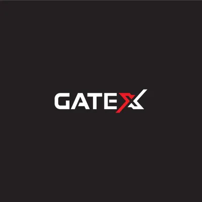GateX Repair