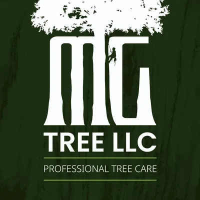 MG Tree LLC