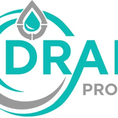 Drain pros