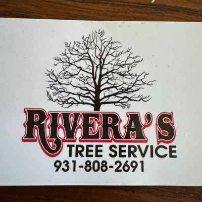 Rivera’s Tree services