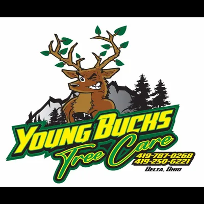 Young Bucks Tree Care LLC