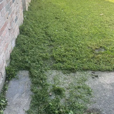 ICPTREESERVICE