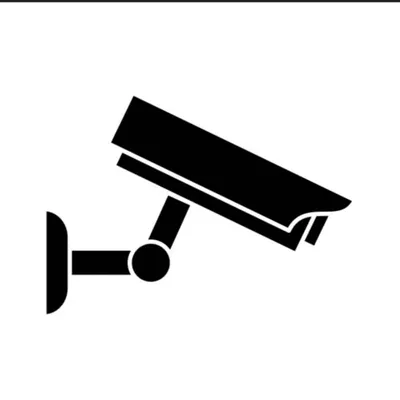 Adam Security System Professionals