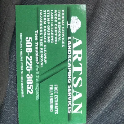 Artisans tree services