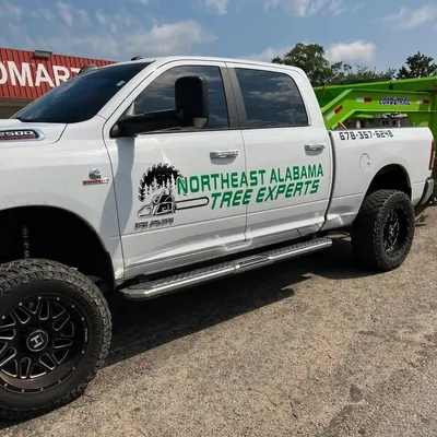 Northeast Alabama Tree Experts