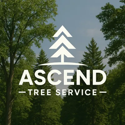 Ascend Tree Service
