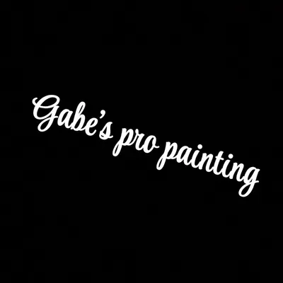 Gabe’s Pro Painting