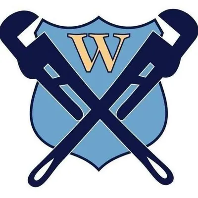 Mr. Wilson's Plumbing and Drain Solutions