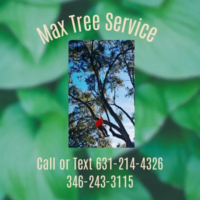 Max Reyes Tree service