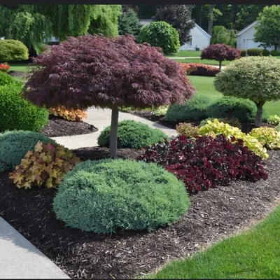 Top Landscaping
